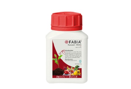 ڈیو فلونکی میڈی