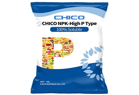 نپک مبنی ہل اور نپک لینپک کے درمیان کیا فرق ہیں ؟