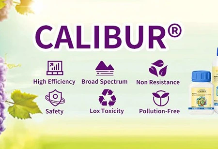 بارش کے دوران فصلوں کے دوران کھیتی