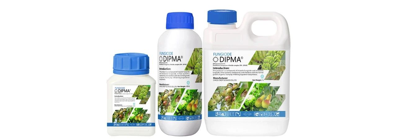 how-to-prevent-crop-disease-during-rainy-season-5.jpg how-to-prevent-crop-disease-during-rainy-season-5.jpg