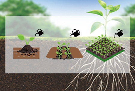 ڈھونڈ®مہمانی کھیتی کے لئے فائدے کا استعمال کرتے ہیں ۔