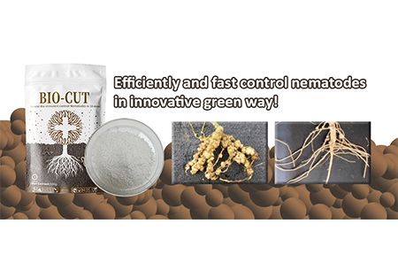 مثال کے طور پر ، اختراعی اور سردھے راستے کے ذریعے ،