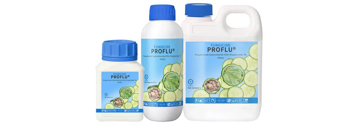 How-can-we-protect-crops-during-typhoon-season-04.jpg How-can-we-protect-crops-during-typhoon-season-04.jpg