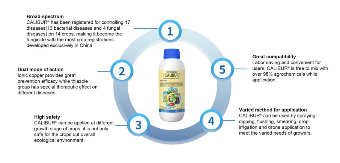 calibur-unique-organic-copper-fungicide-with-excellent-efficacy-and-superior-safety_02.png calibur-unique-organic-copper-fungicide-with-excellent-efficacy-and-superior-safety_02.png