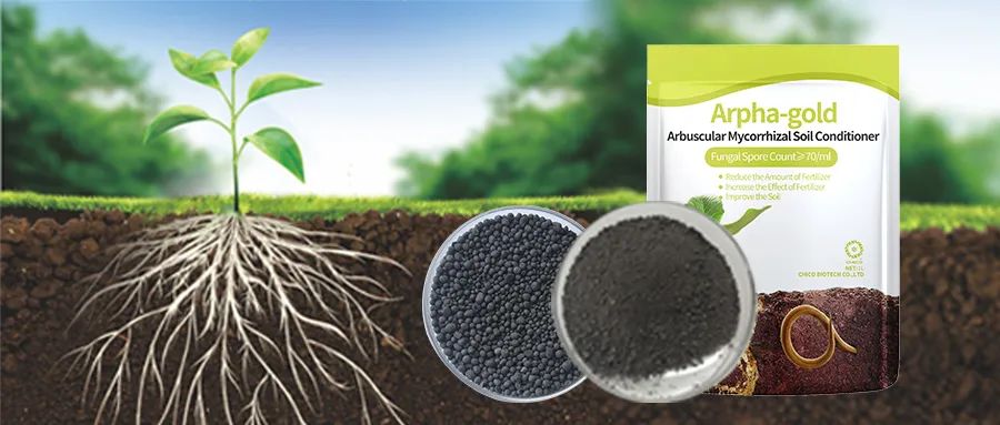 Global_Citrus_Industry_Faces_Disease_and_Climate_Challenges_07.jpg Global_Citrus_Industry_Faces_Disease_and_Climate_Challenges_07.jpg