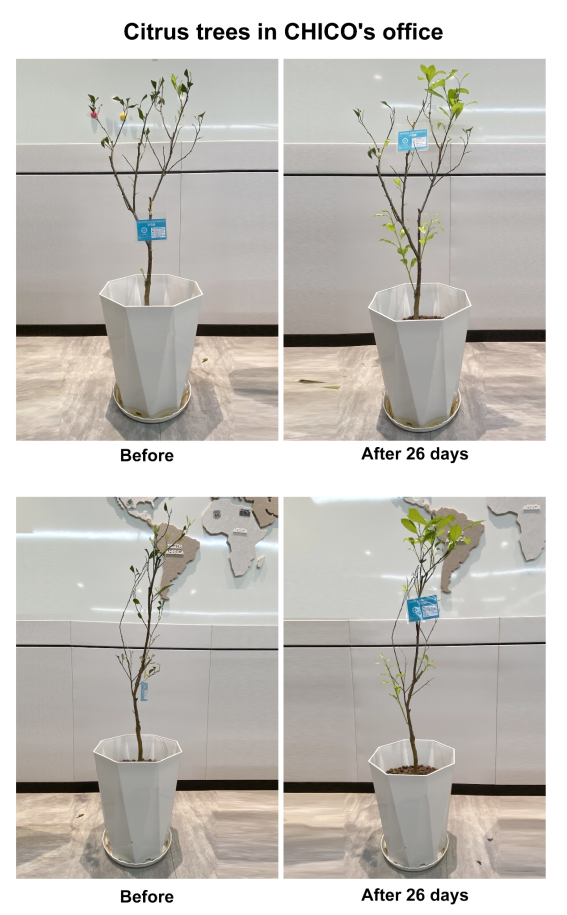 Global_Citrus_Industry_Faces_Disease_and_Climate_Challenges_10.png Global_Citrus_Industry_Faces_Disease_and_Climate_Challenges_10.png